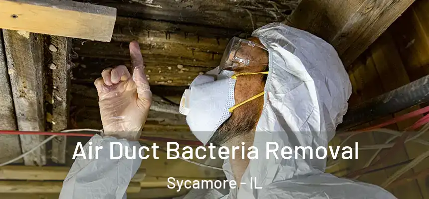  Air Duct Bacteria Removal Sycamore - IL