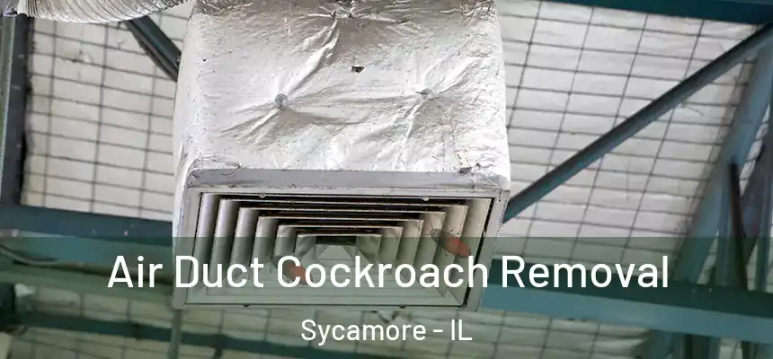  Air Duct Cockroach Removal Sycamore - IL