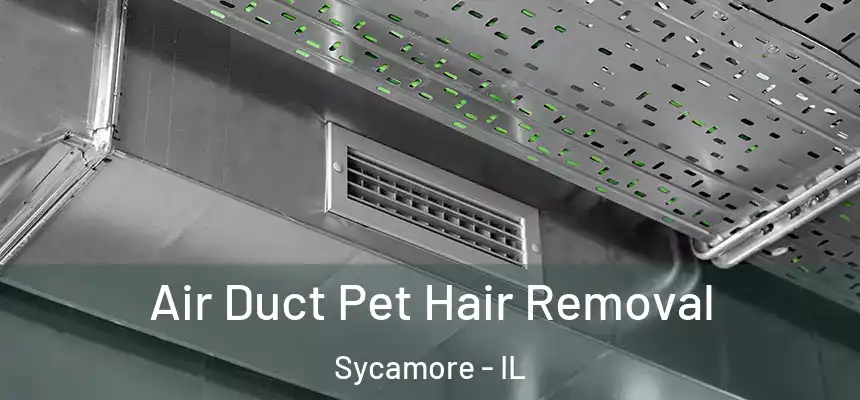  Air Duct Pet Hair Removal Sycamore - IL