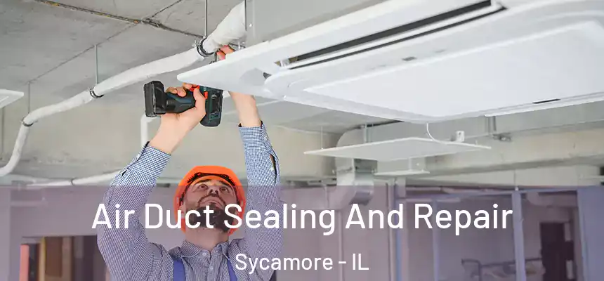  Air Duct Sealing And Repair Sycamore - IL