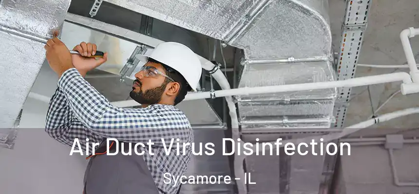  Air Duct Virus Disinfection Sycamore - IL