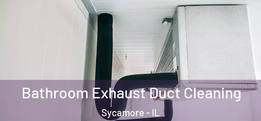  Bathroom Exhaust Duct Cleaning Sycamore - IL
