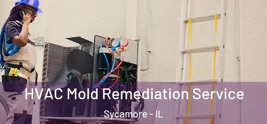  HVAC Mold Remediation Service Sycamore - IL