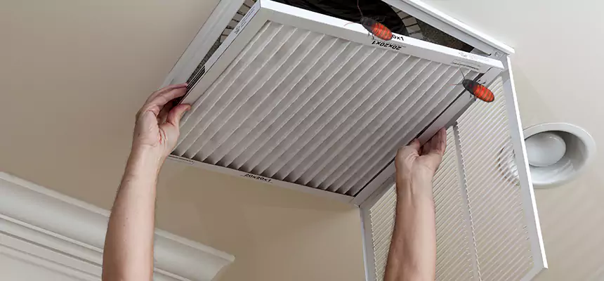 Preventive Cockroach-Proofing for Ducts in Sycamore