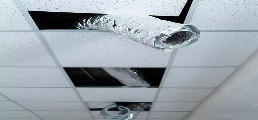 Our Air Duct Pet Hair Removal Services in Sycamore, IL