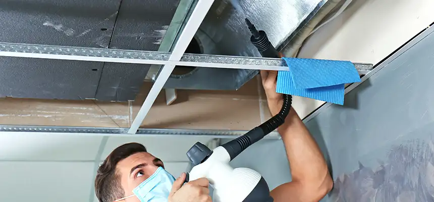 Our Air Duct Rodent Removal Services in Sycamore, IL