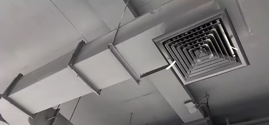 Restorative Allergy Relief Vent Cleaning – Coil, Blower & Housing Detail in Sycamore