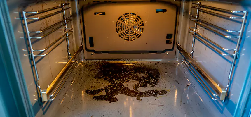 Our Dryer Vent Mold Cleaning Services in Sycamore, IL