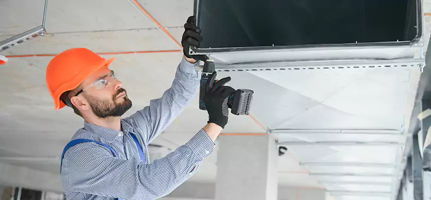 Roof Cap & Exterior Hood Lint Buildup Removal – Sycamore