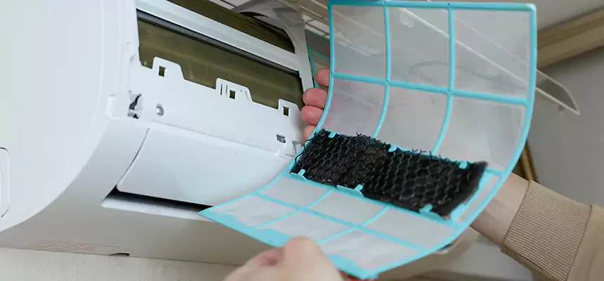 Gentle Ductwork Odor-Control Pet Dander Duct Cleaning in Sycamore, IL