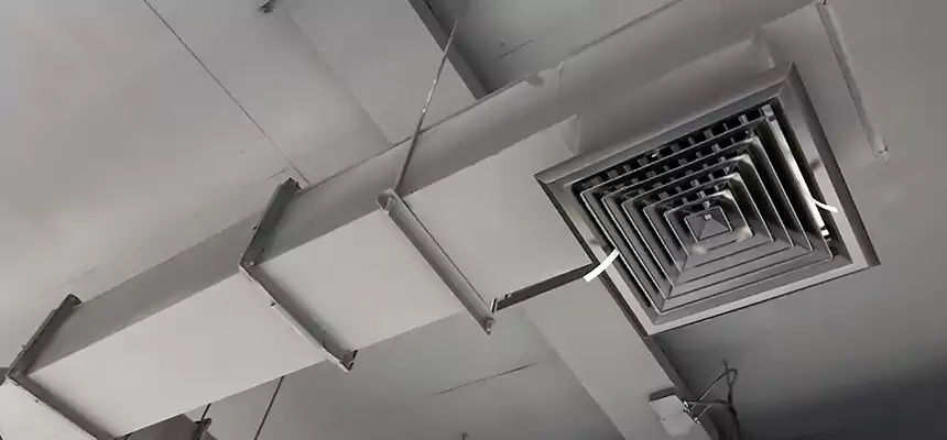 Our Rodent Droppings In Vents Services in Sycamore, IL