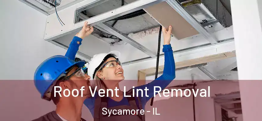  Roof Vent Lint Removal Sycamore - IL