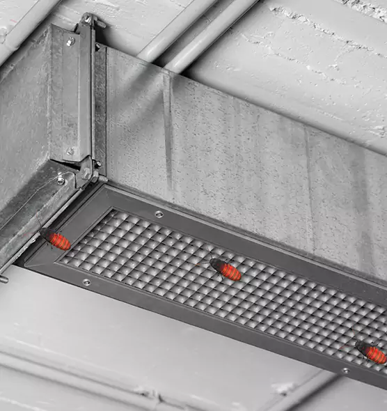 About Air Duct Cockroach Removal in Sycamore, IL
