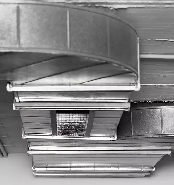 Professional Air Duct Pest Removal in Sycamore, IL