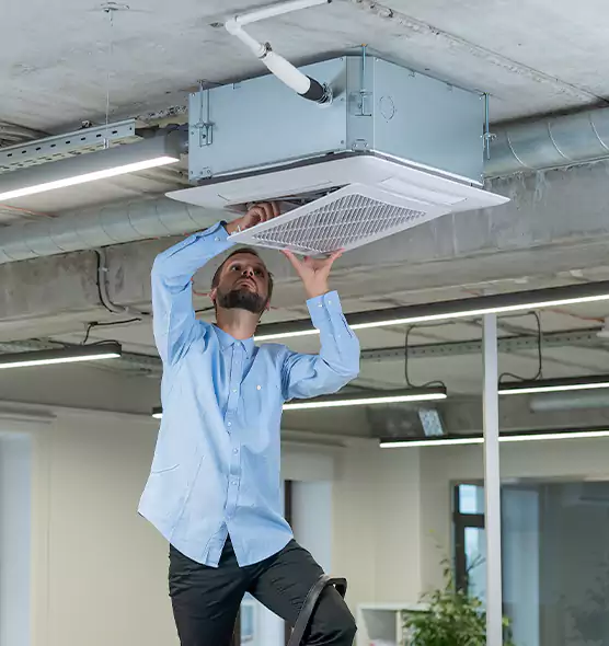 Advanced Rodent Droppings In Vents in Sycamore, IL